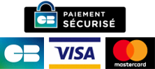 Secure credit card payment logo