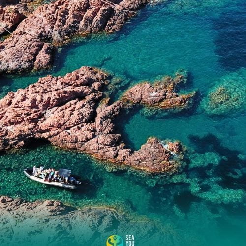 Sea You Sun (2025-06-04_1.jpg)